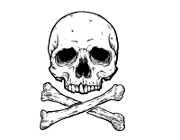 The Extraordinary Adventurer skull-and-crossbones mark